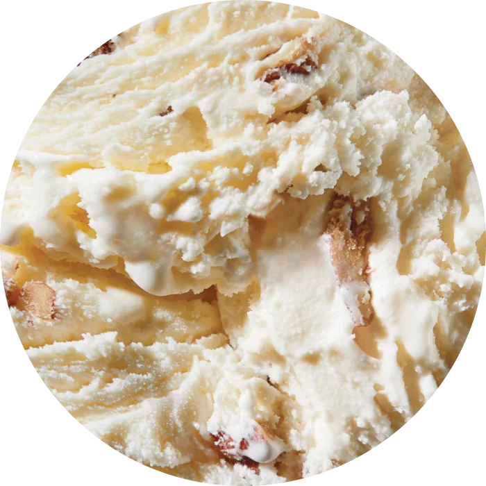 Tillamook Butter Pecan Ice Cream 3 Gallons Icecreamsource