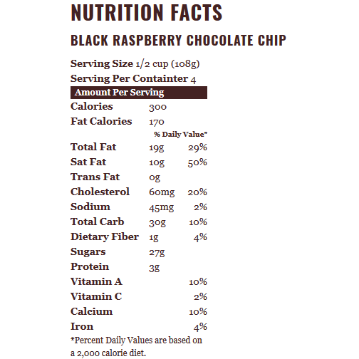 Graeter's Black Raspberry Chocolate Chip (Pint) icecreamsource