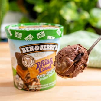 Ben & Jerry's - Phish Food NON-DAIRY Ice Cream (Pint) scoop