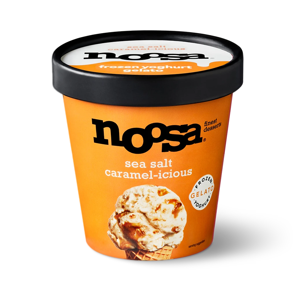 noosa Frozen Yogurt Gelato - Sea Salt Caramel-icious (Pint)