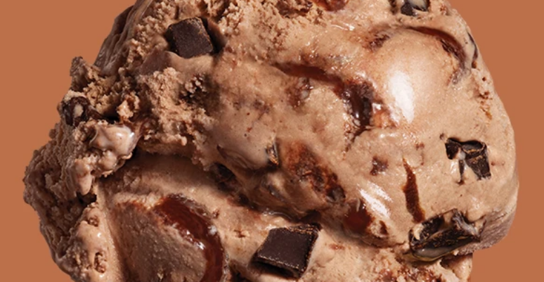 noosa Frozen Yogurt Gelato - Chocolate Fudge (Pint) – icecreamsource