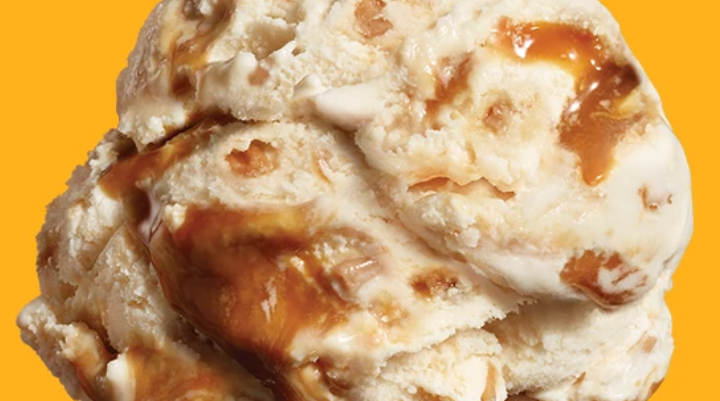 noosa Frozen Yogurt Gelato - Sea Salt Caramel-icious (Pint