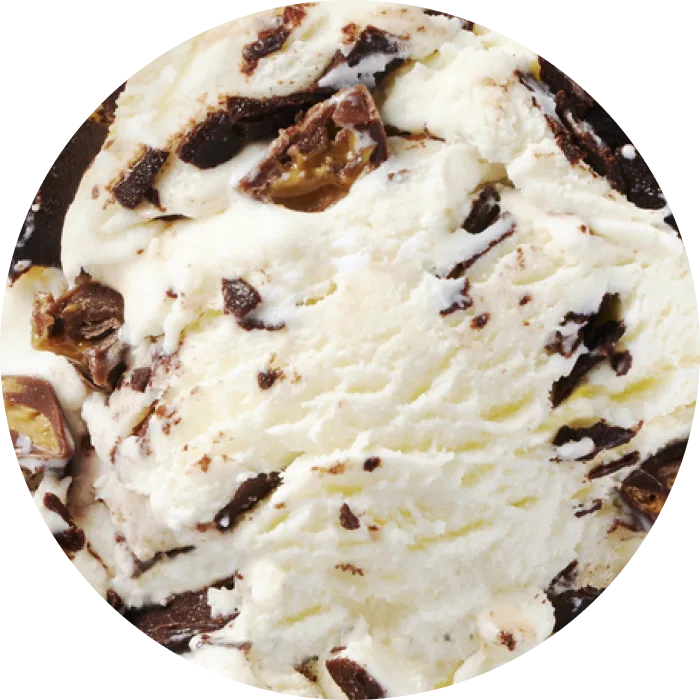 Tillamook, Campfire Peanut Butter Cup Ice Cream - 3 Gallons scoop