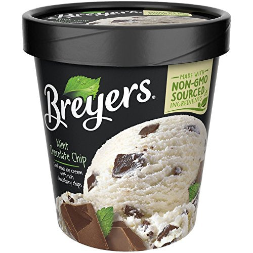 Breyer's Mint Chocolate Chip Ice Cream (Pint) – icecreamsource