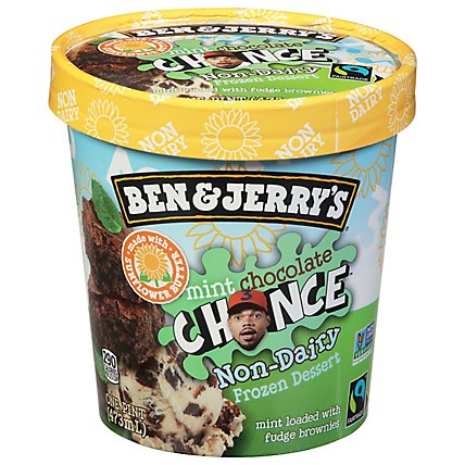 Ben & Jerry's Non-Dairy Mint Chocolate Chance (Pint)