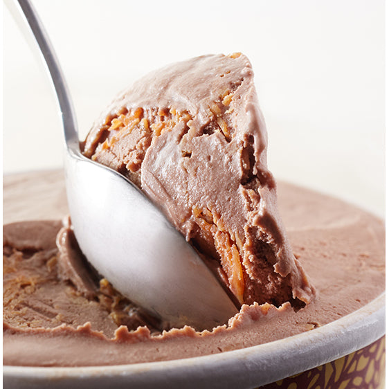 Haagen-Dazs Chocolate Peanut Butter (Pint) – icecreamsource