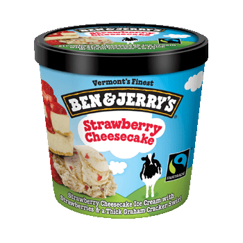 Ben and Jerrys Vanilla Ice Cream Case