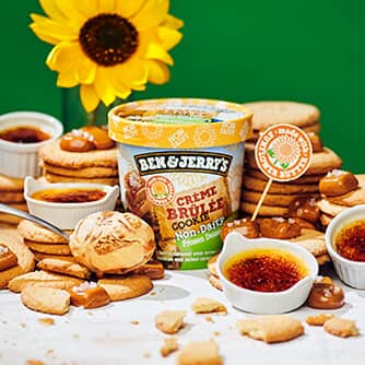 Ben & Jerry's - Creme Brule Cookie NON-DAIRY Ice Cream (Pint) display