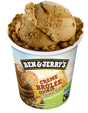 Ben & Jerry's - Creme Brule Cookie NON-DAIRY Ice Cream (Pint) open